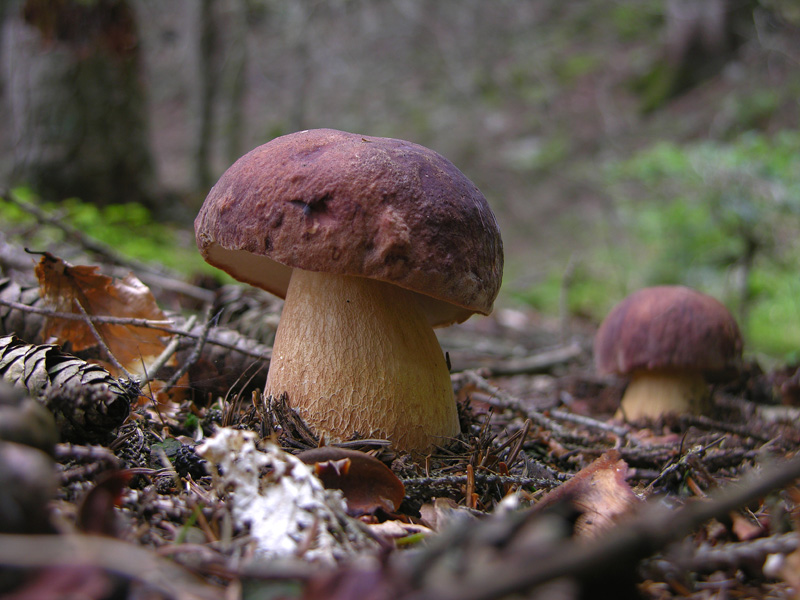 Qualche highlight 2007